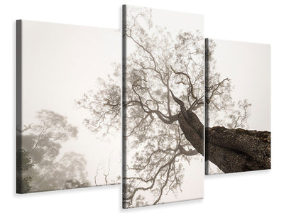 panoramic-canvas-print-the-seagulls-and-the-sea-at-sunrise