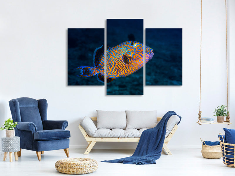 modern-3-piece-canvas-print-blue-triggerfish