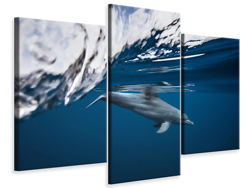 modern-3-piece-canvas-print-bottlenose-dolphin-turciops-aduncus