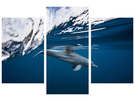 modern-3-piece-canvas-print-bottlenose-dolphin-turciops-aduncus