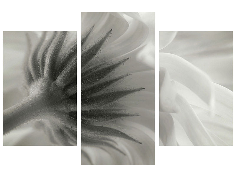 modern-3-piece-canvas-print-calendula