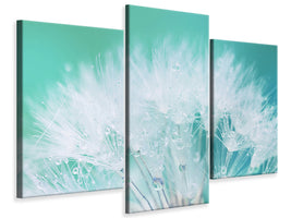 modern-3-piece-canvas-print-close-up-dandelion-in-morning-dew