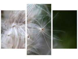 modern-3-piece-canvas-print-close-up-flowers-fibers