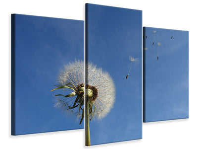 modern-3-piece-canvas-print-dandelion-i-wish-for-something