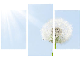 modern-3-piece-canvas-print-dandelion-in-sunbeam