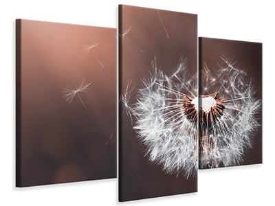 modern-3-piece-canvas-print-dandelion-in-the-evening-light