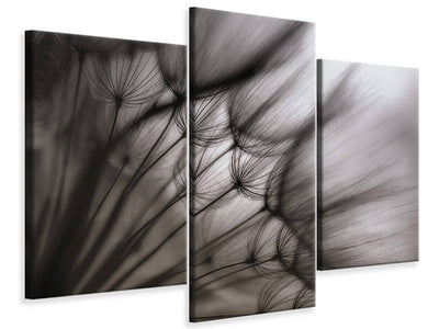 modern-3-piece-canvas-print-dandelion-p