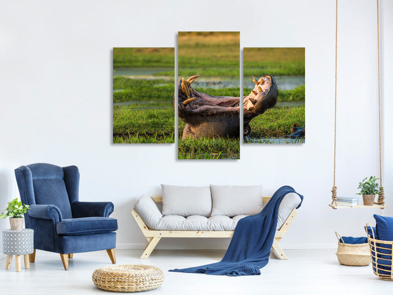 modern-3-piece-canvas-print-dare-to-yawn