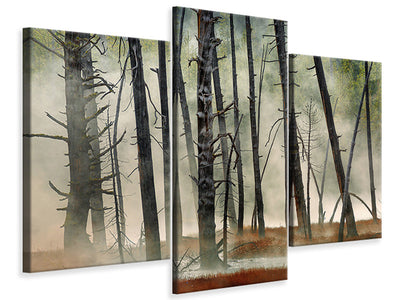 modern-3-piece-canvas-print-dead-wood