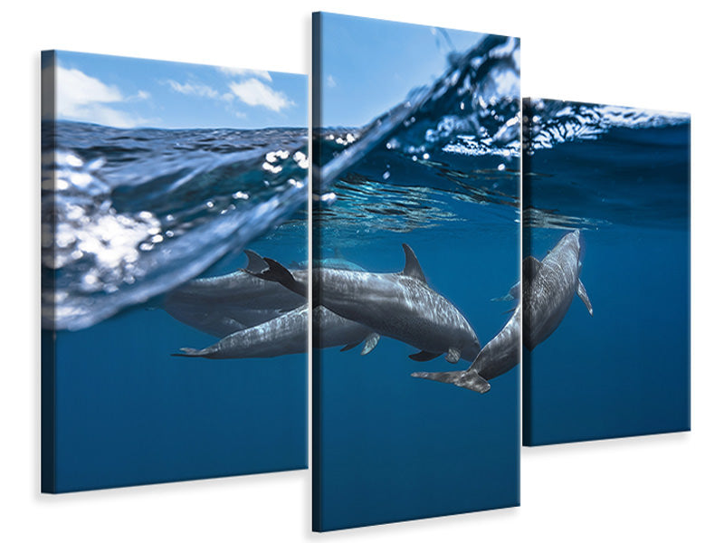 modern-3-piece-canvas-print-dolphins