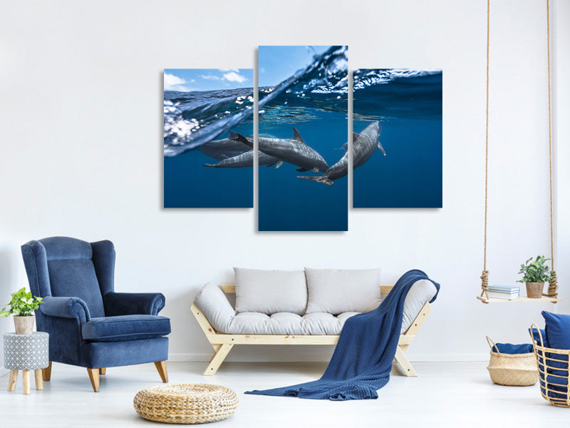 modern-3-piece-canvas-print-dolphins
