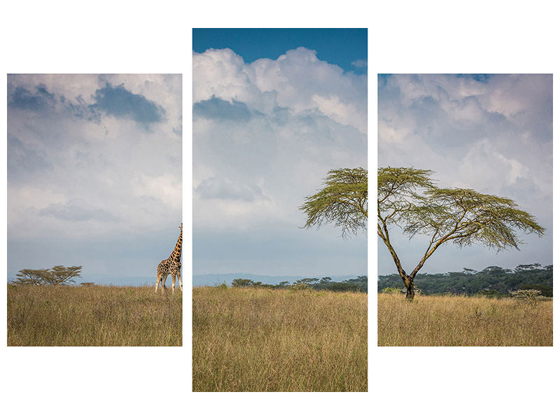 modern-3-piece-canvas-print-east-africa