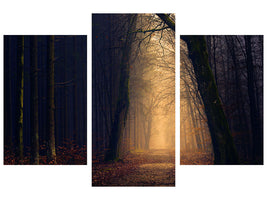 modern-3-piece-canvas-print-evening-mood-in-the-forest