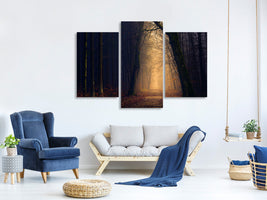 modern-3-piece-canvas-print-evening-mood-in-the-forest