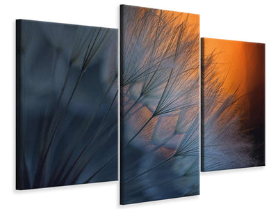 modern-3-piece-canvas-print-feathers-p