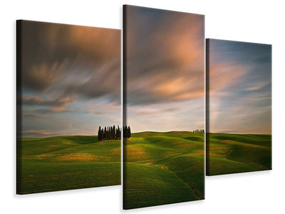 panoramic-canvas-print-the-seagulls-and-the-sea-at-sunrise