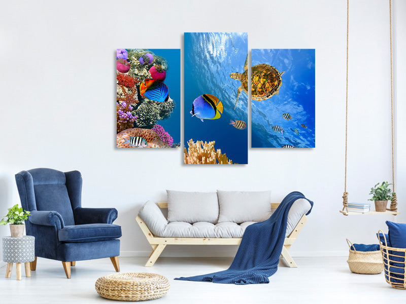 modern-3-piece-canvas-print-fish-in-the-water