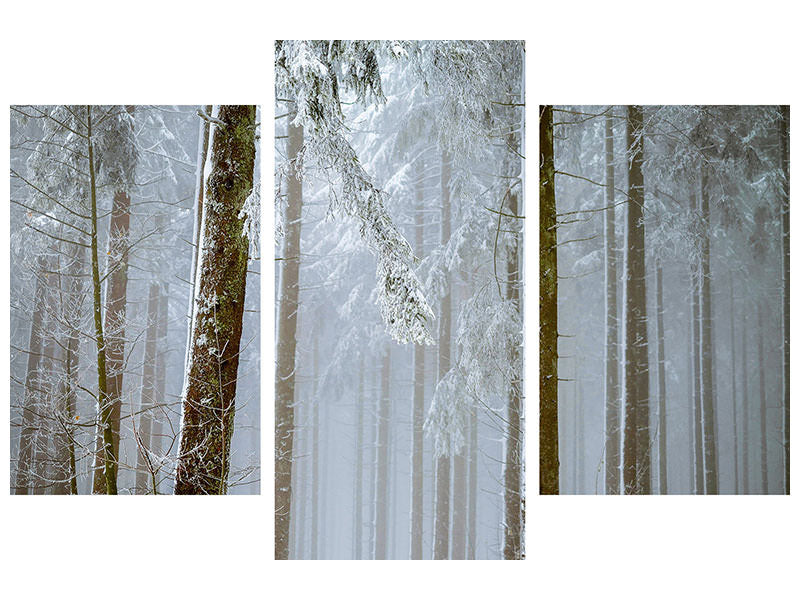 modern-3-piece-canvas-print-forest-in-winter