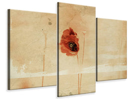 modern-3-piece-canvas-print-fragment