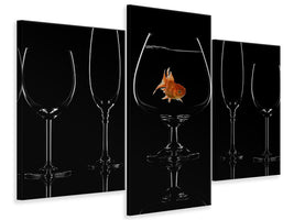 modern-3-piece-canvas-print-glass-fish