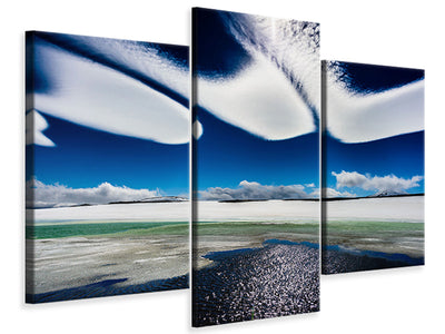 panoramic-canvas-print-the-seagulls-and-the-sea-at-sunrise