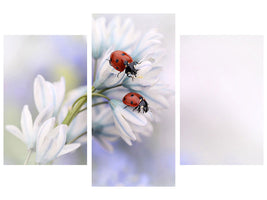 modern-3-piece-canvas-print-ladybirds