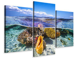 modern-3-piece-canvas-print-lagoon-life