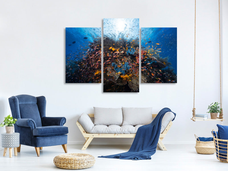 modern-3-piece-canvas-print-life-explosion