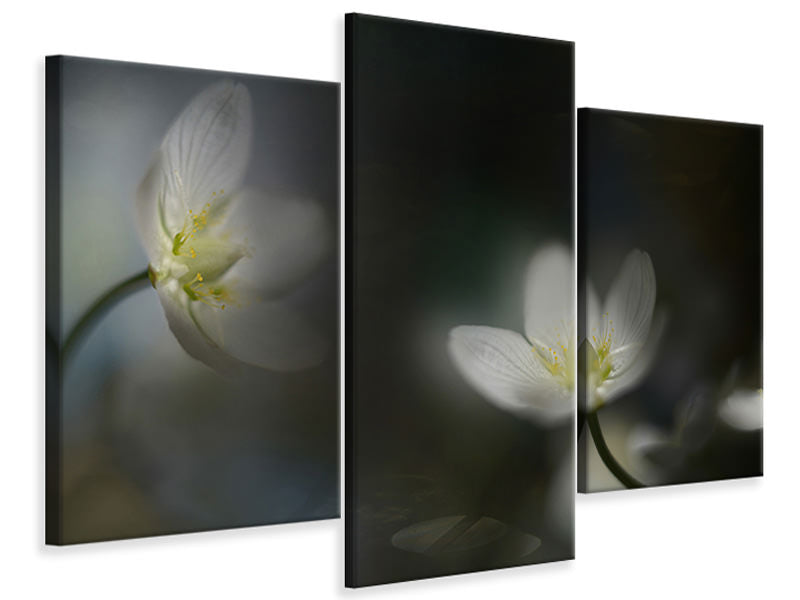 modern-3-piece-canvas-print-light-in-the-darkness