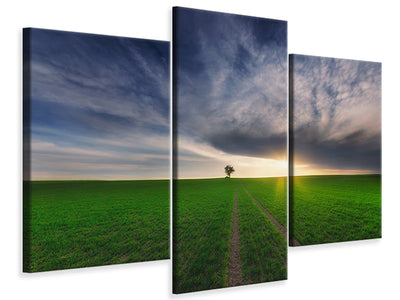 panoramic-canvas-print-the-seagulls-and-the-sea-at-sunrise