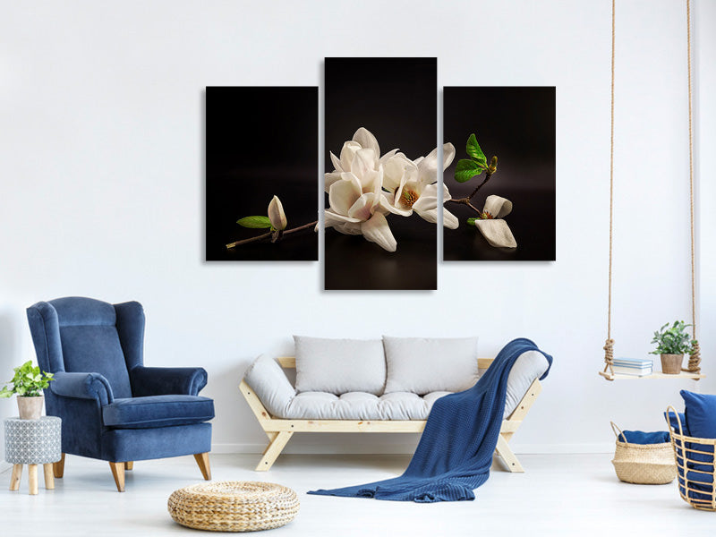 modern-3-piece-canvas-print-magnolia