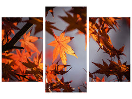 modern-3-piece-canvas-print-maple-leaves-in-autumn