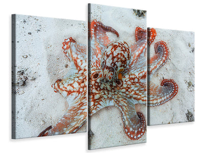 modern-3-piece-canvas-print-octopus-a