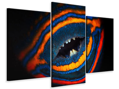 modern-3-piece-canvas-print-orange-lined-triggerfish