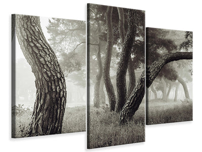 panoramic-canvas-print-the-seagulls-and-the-sea-at-sunrise