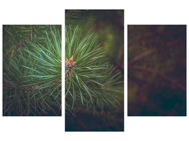 modern-3-piece-canvas-print-pine-tree-close-up