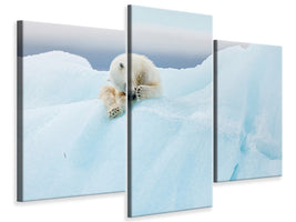 modern-3-piece-canvas-print-polar-bear-grooming