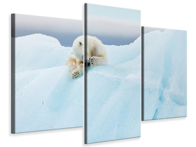 modern-3-piece-canvas-print-polar-bear-grooming