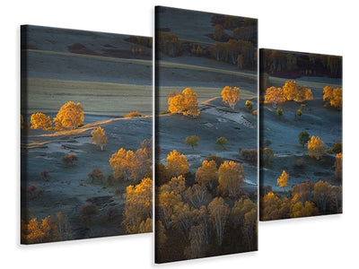 panoramic-canvas-print-the-seagulls-and-the-sea-at-sunrise