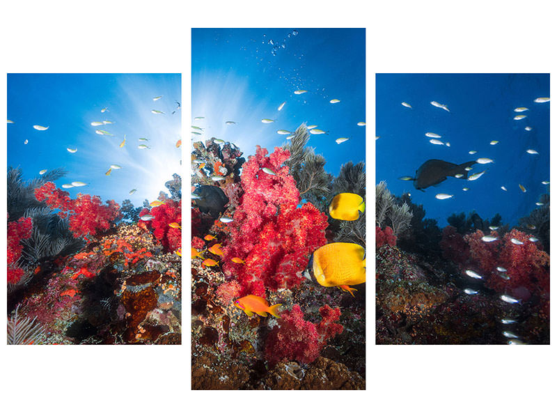 modern-3-piece-canvas-print-reef-life