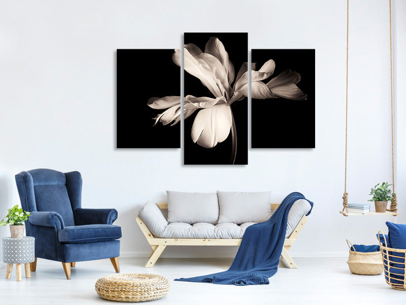 modern-3-piece-canvas-print-simplicity