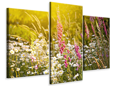 modern-3-piece-canvas-print-summer-flower-meadow