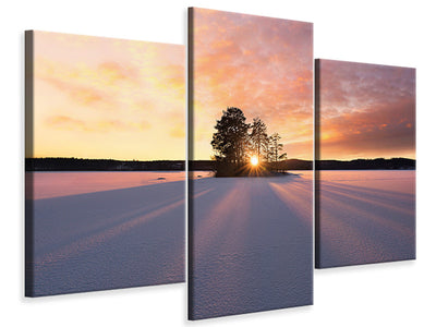 panoramic-canvas-print-the-seagulls-and-the-sea-at-sunrise
