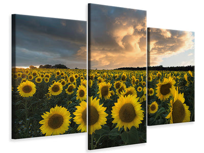 panoramic-canvas-print-the-seagulls-and-the-sea-at-sunrise