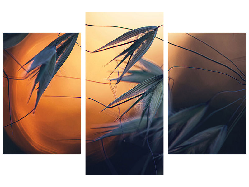 modern-3-piece-canvas-print-sunset-p