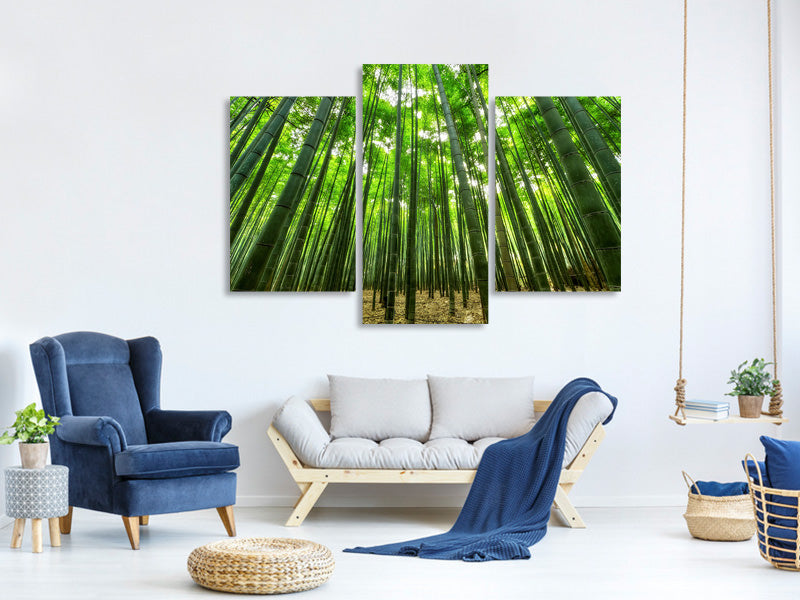 modern-3-piece-canvas-print-the-bamboo-forest