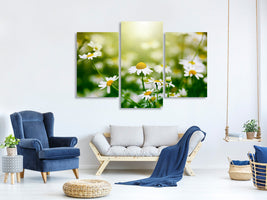 modern-3-piece-canvas-print-the-daisy