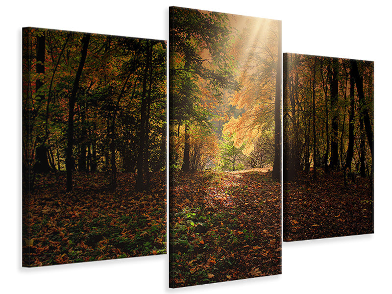 modern-3-piece-canvas-print-the-deciduous-forest