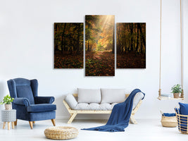 modern-3-piece-canvas-print-the-deciduous-forest