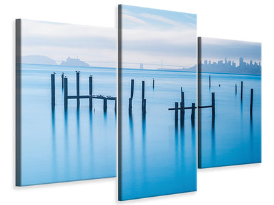 panoramic-canvas-print-the-seagulls-and-the-sea-at-sunrise